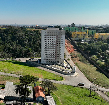 Begônia